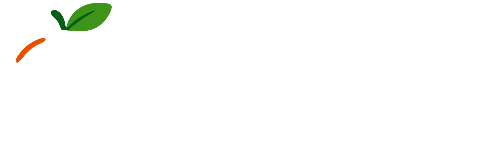 Qwerky Media
